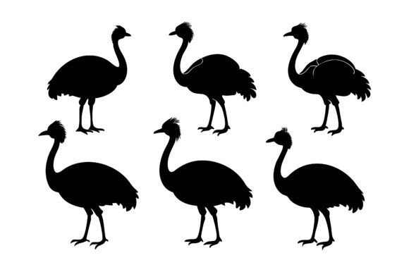 Cassowary Silhouette Icon Vector Bundle Graphics for Print Materials Mockups