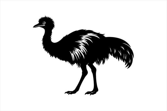 Emu Silhouette Vector Illustration Graphics for Print Materials Mockups