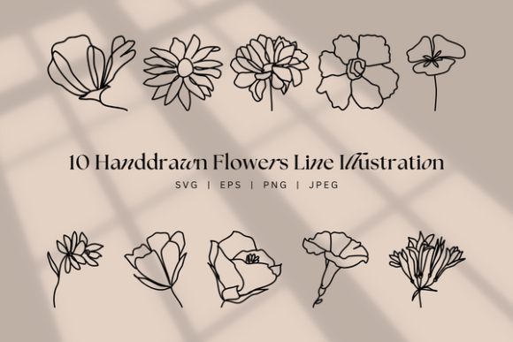 Handdrawn Flower Line Art, Floral Boho Graphics