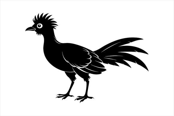Hoatzin Silhouette Bird Vector Graphics for Print Materials Mockups