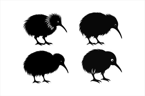 Kiwi Bird Silhouette Vector Asset for Print and Graphics
