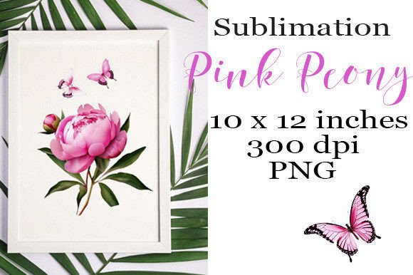 Sublimation Pink Peony Graphics for Editorial and Web Use
